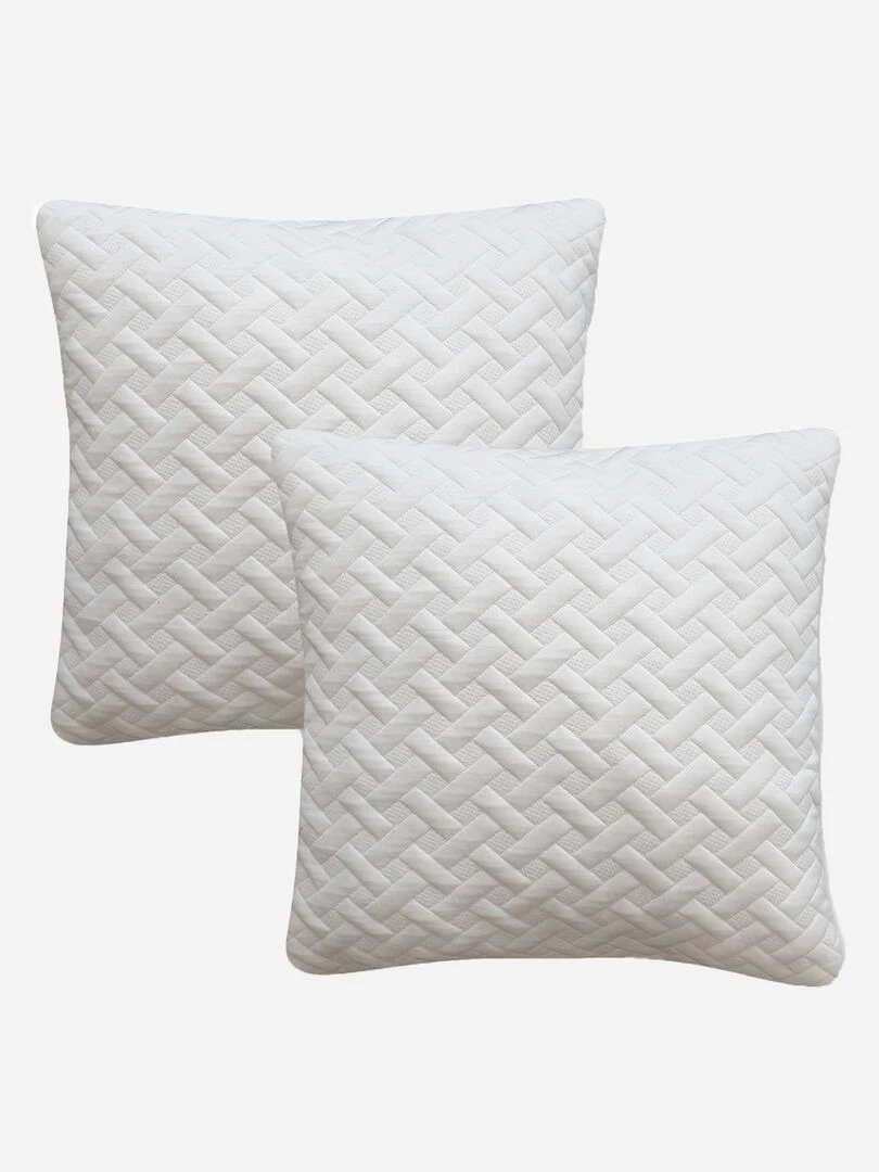 Lot de 2 oreillers blanc