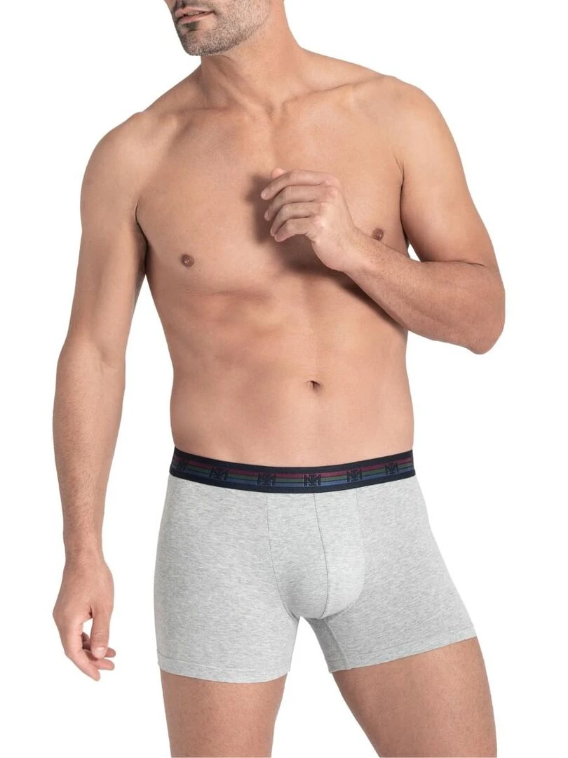 Pack de 2 boxers en coton Haruto Gris