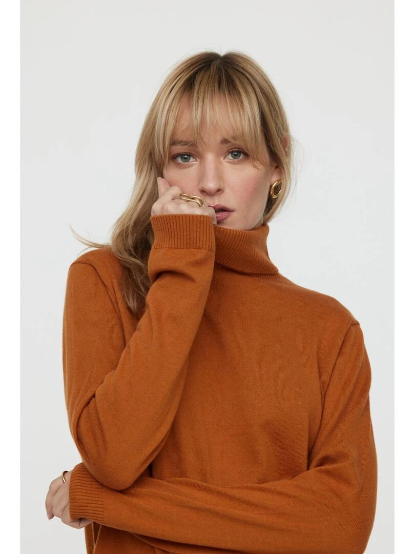 Lee Cooper   Pull manches longues coton regular CINALI   Marron