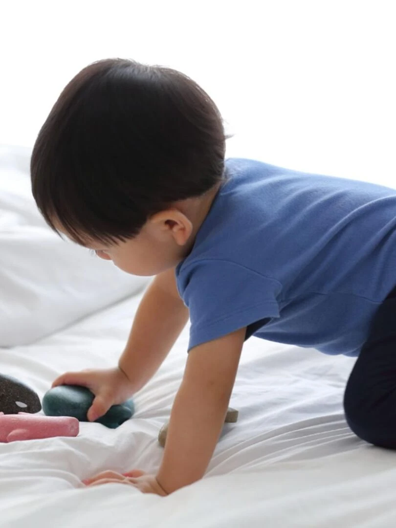 Lot de 4 figurines animaux de la mer   N/A