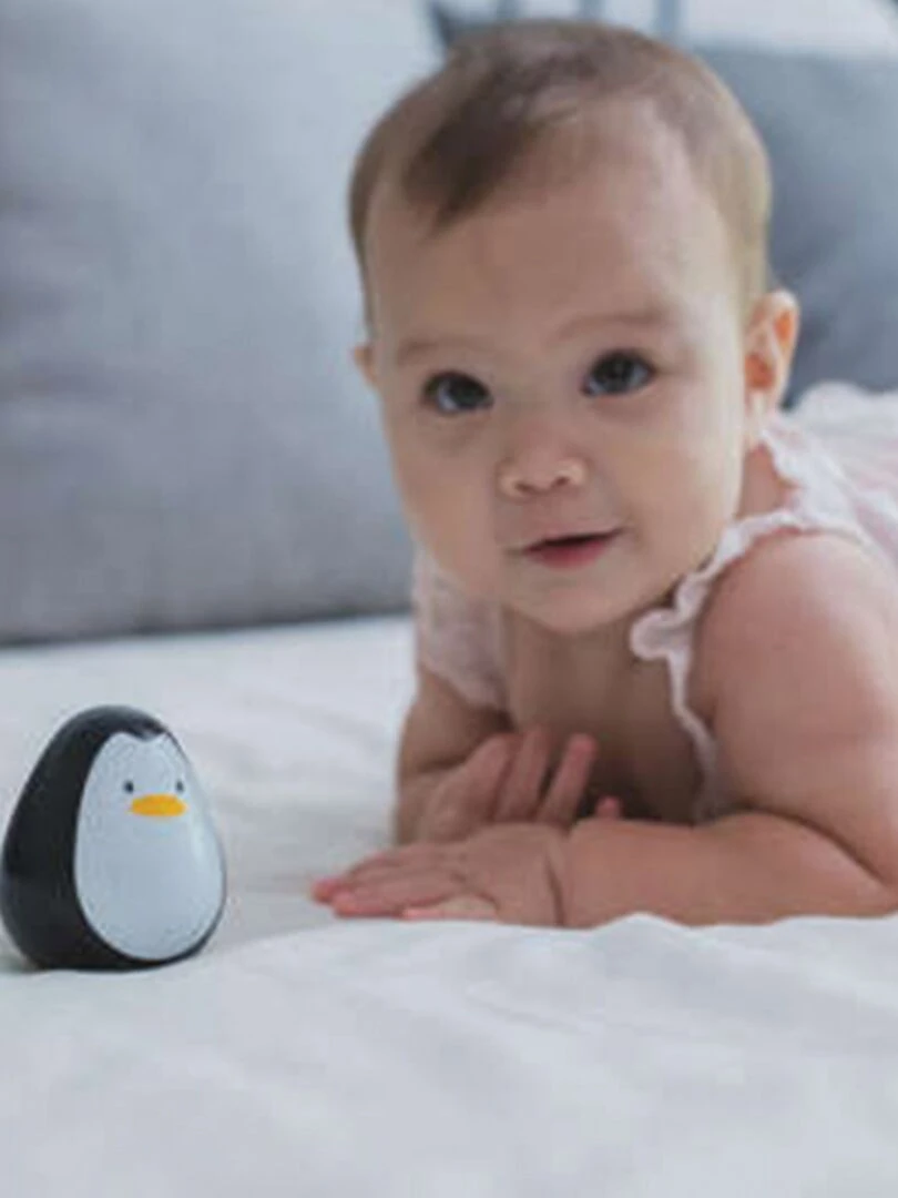 Culbuto Pingouin dandinant   N/A