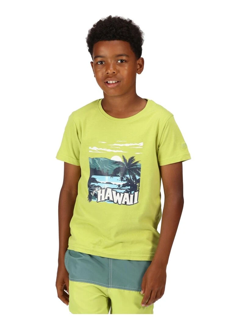 Regatta   T shirt BOSLEY   Vert