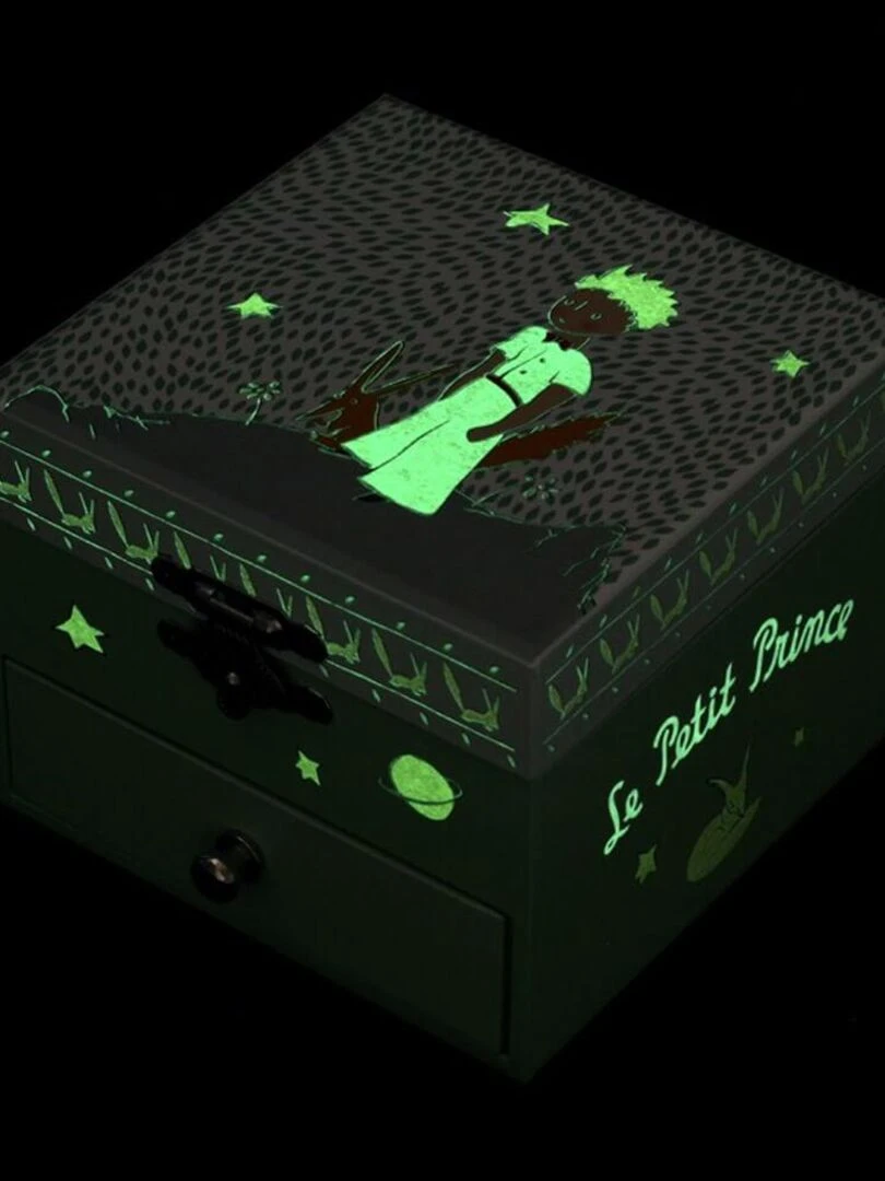 Boîte à musique : Cube phosphorescent Le Petit Prince : Jardin   N/A