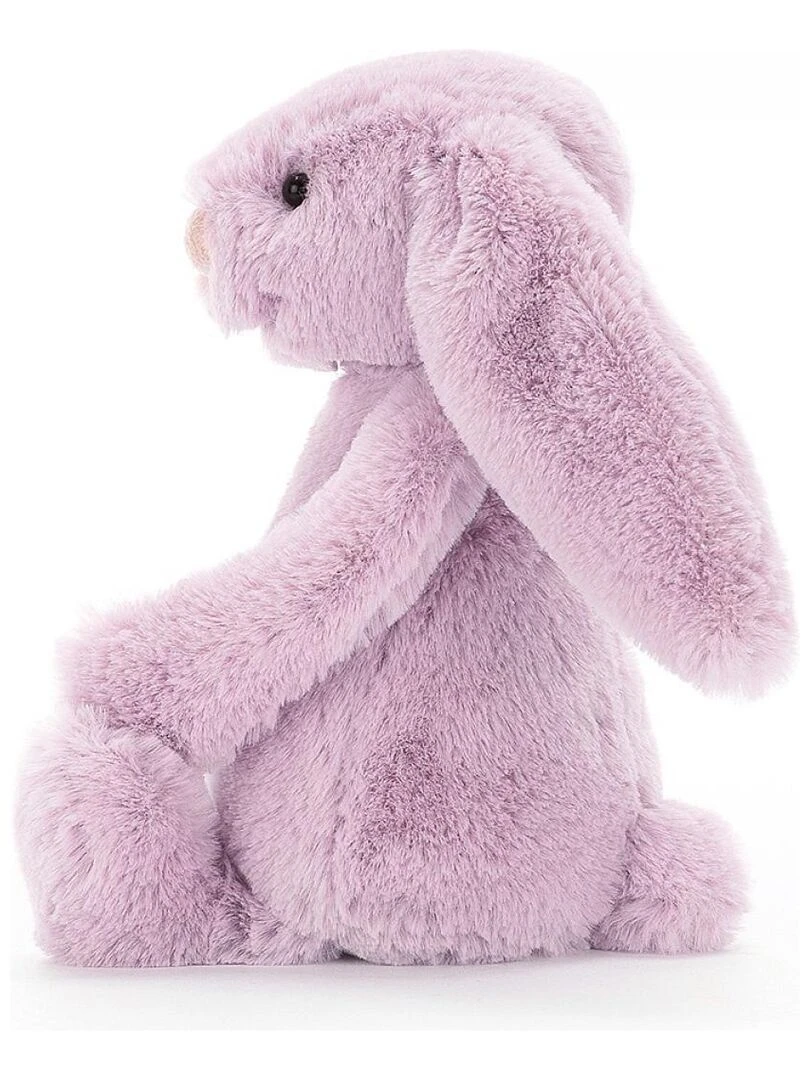 Bashful Lilac Bunny Little   Rose