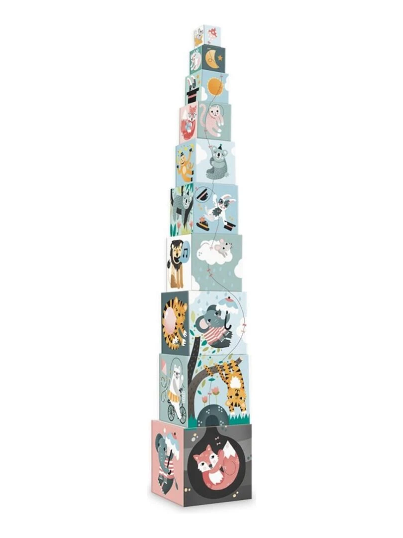 Cubes gigognes Les animaux Michelle Carlslund N/A