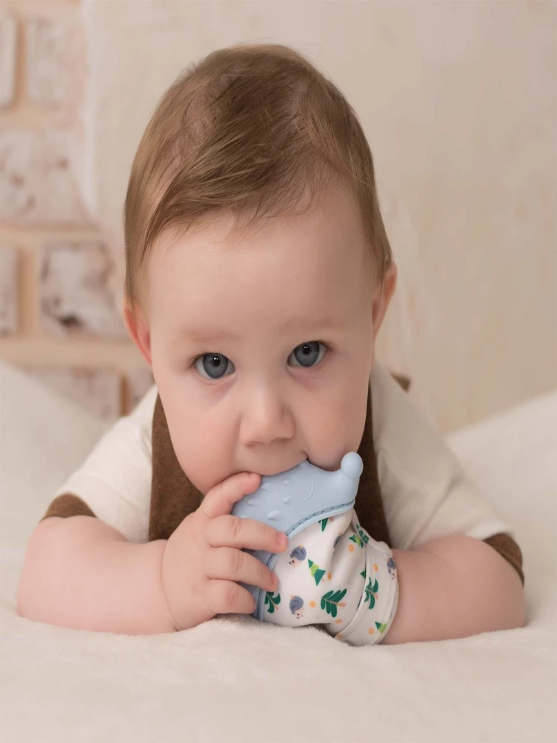 Moufle De Dentition En Silicone Alimentaire   Hérisson   N/A