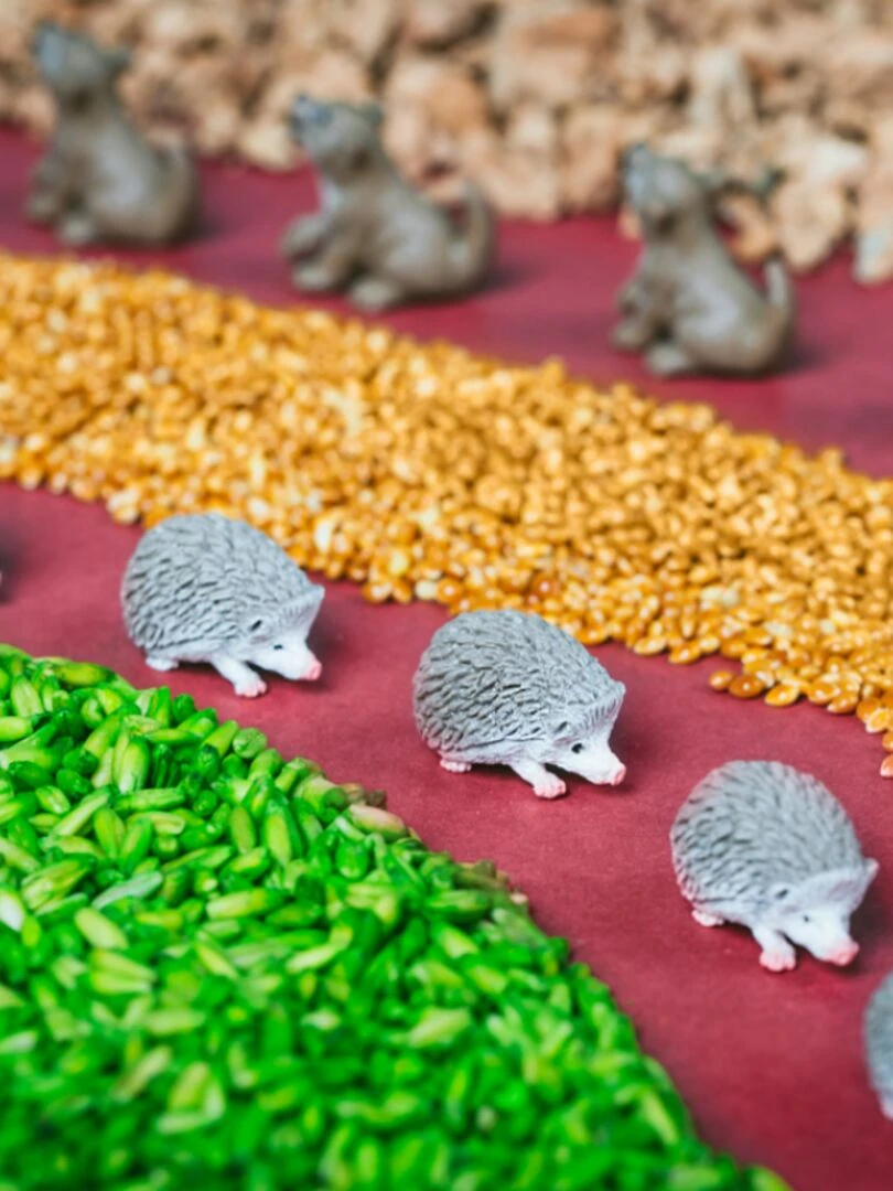 Bouteille Sensorielle Spy Forest   N/A