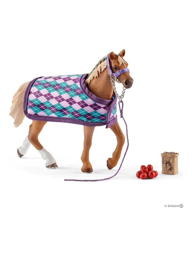 Pur sang anglais avec couverture   N/A