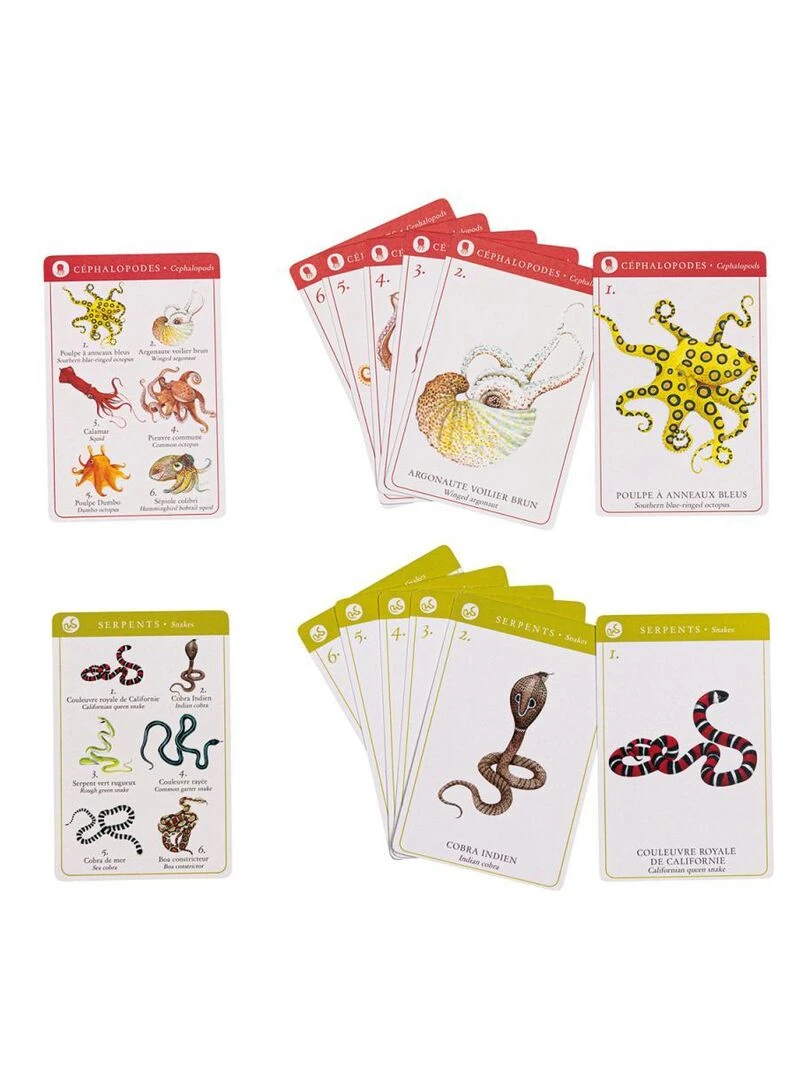 Jeu de 7 familles des espèces Tout autour du monde N/A