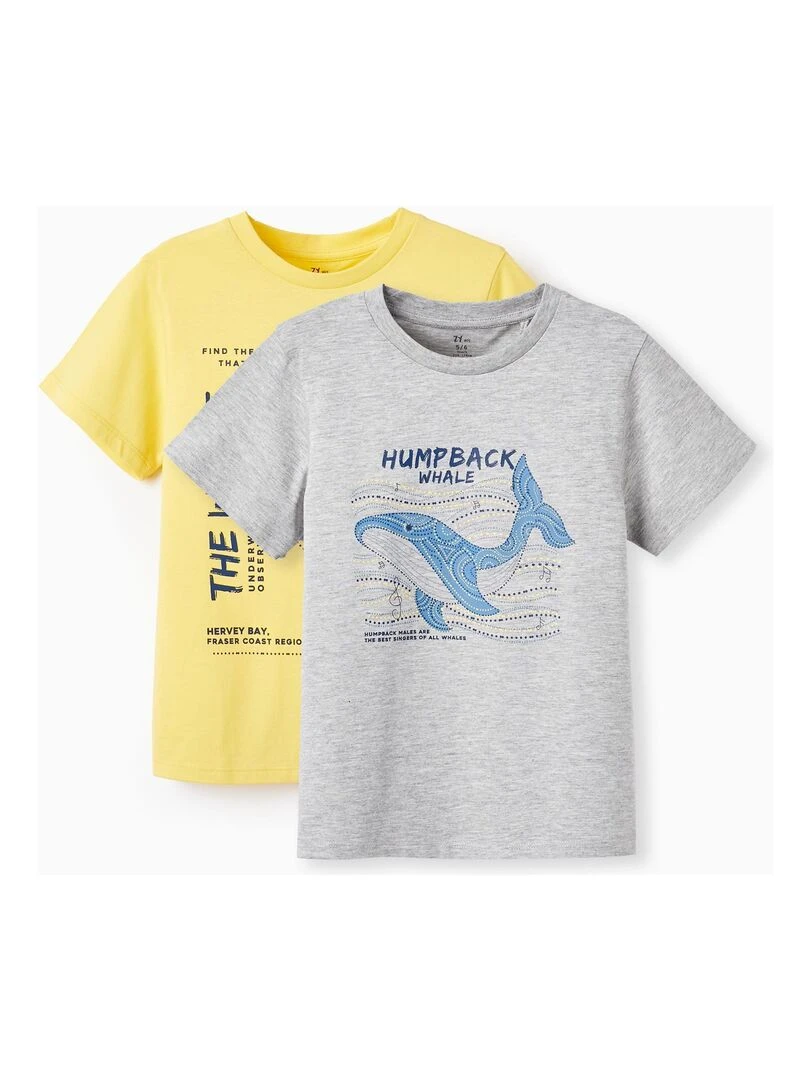 2 T shirts de Coton pour Garçon 'Baleine Bleue' manches courtes Gris clair