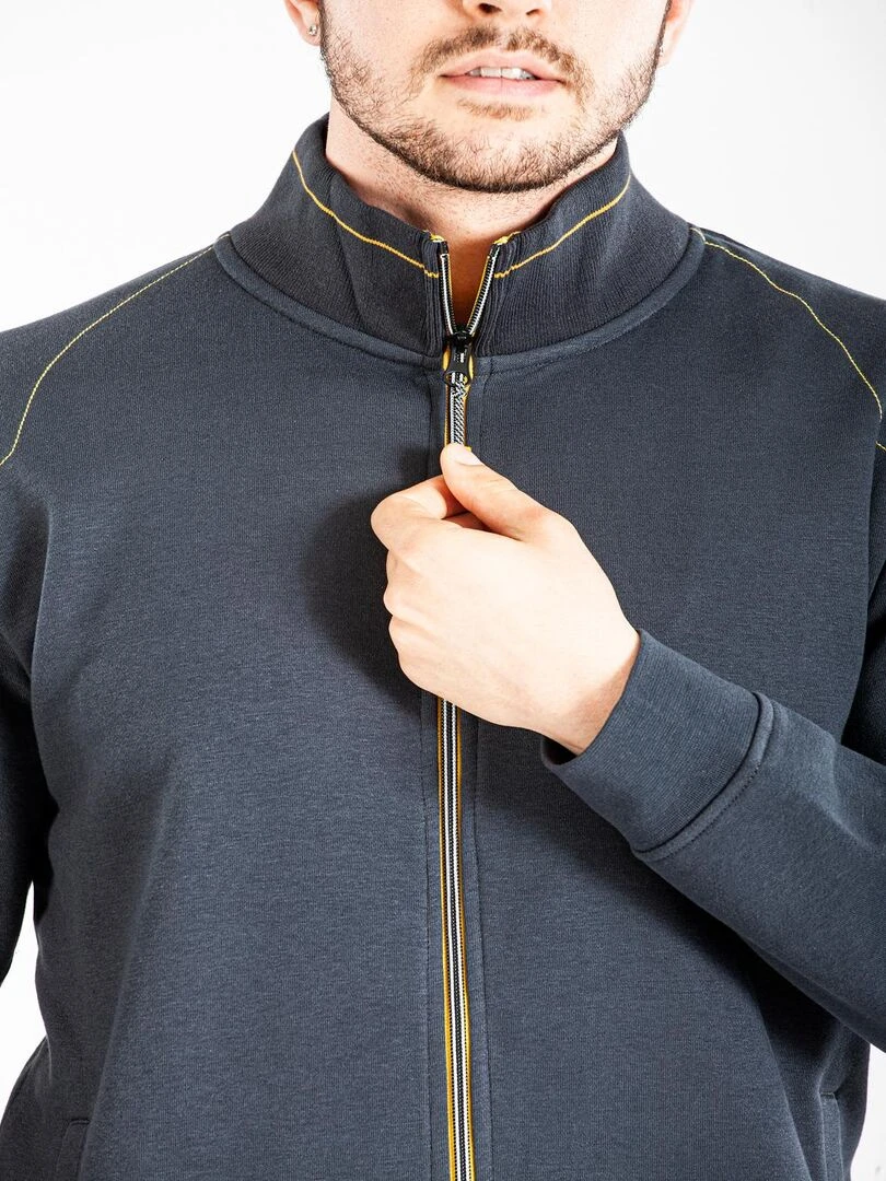 Sweat zippé FULLZIP 'Rica Lewis'   Gris