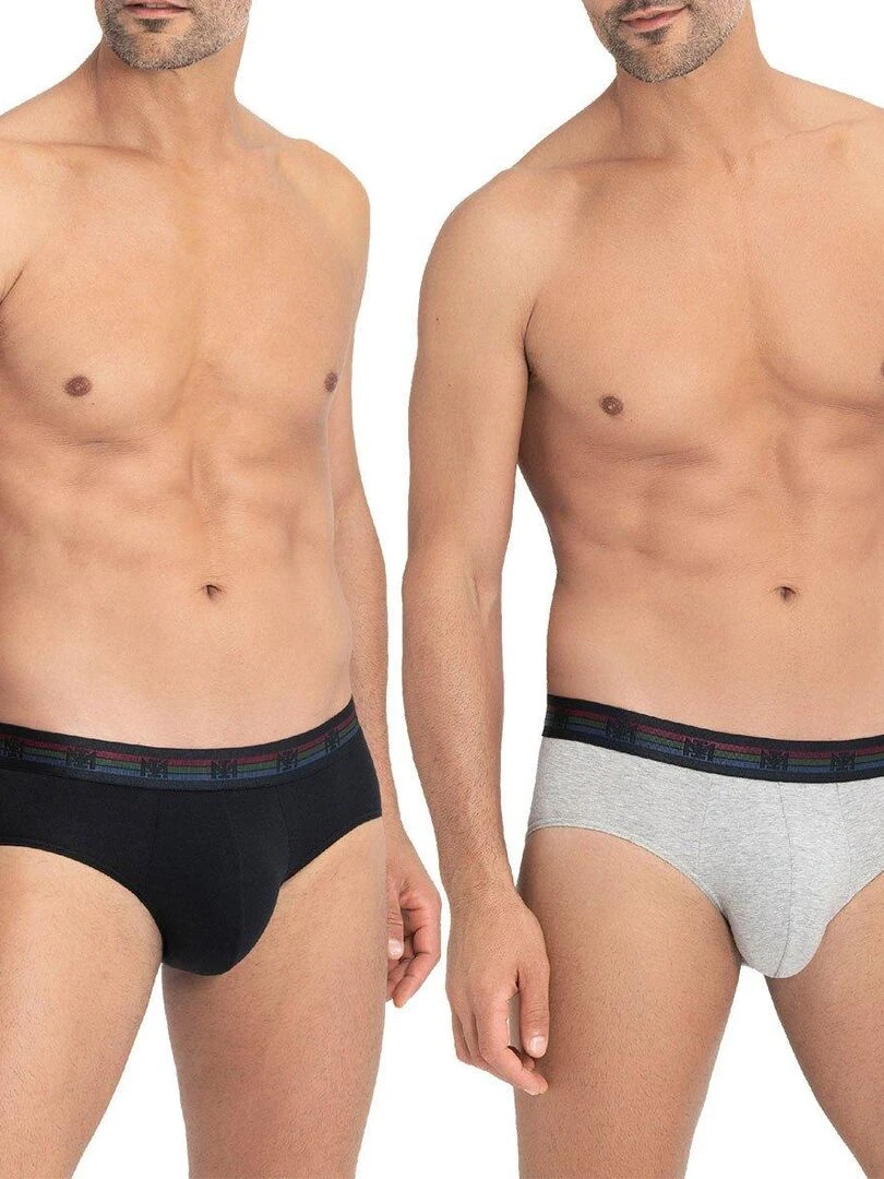Lot de 2 slips en coton Haruto Gris