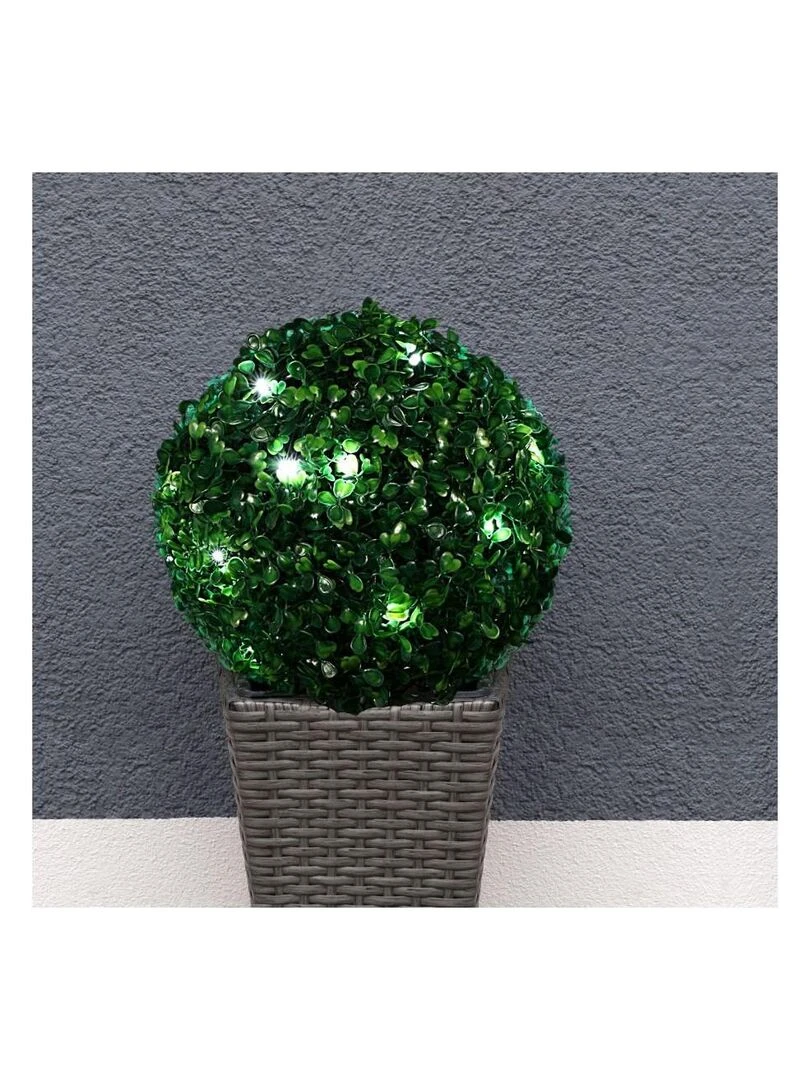 Petite boule de buis intérieur ou extérieur à planter leds Ø25 cm piles Vert