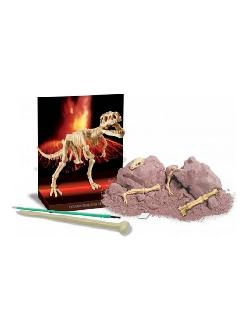 Deterre Ton Dinosaure Tyrannosaurus Rex N/A