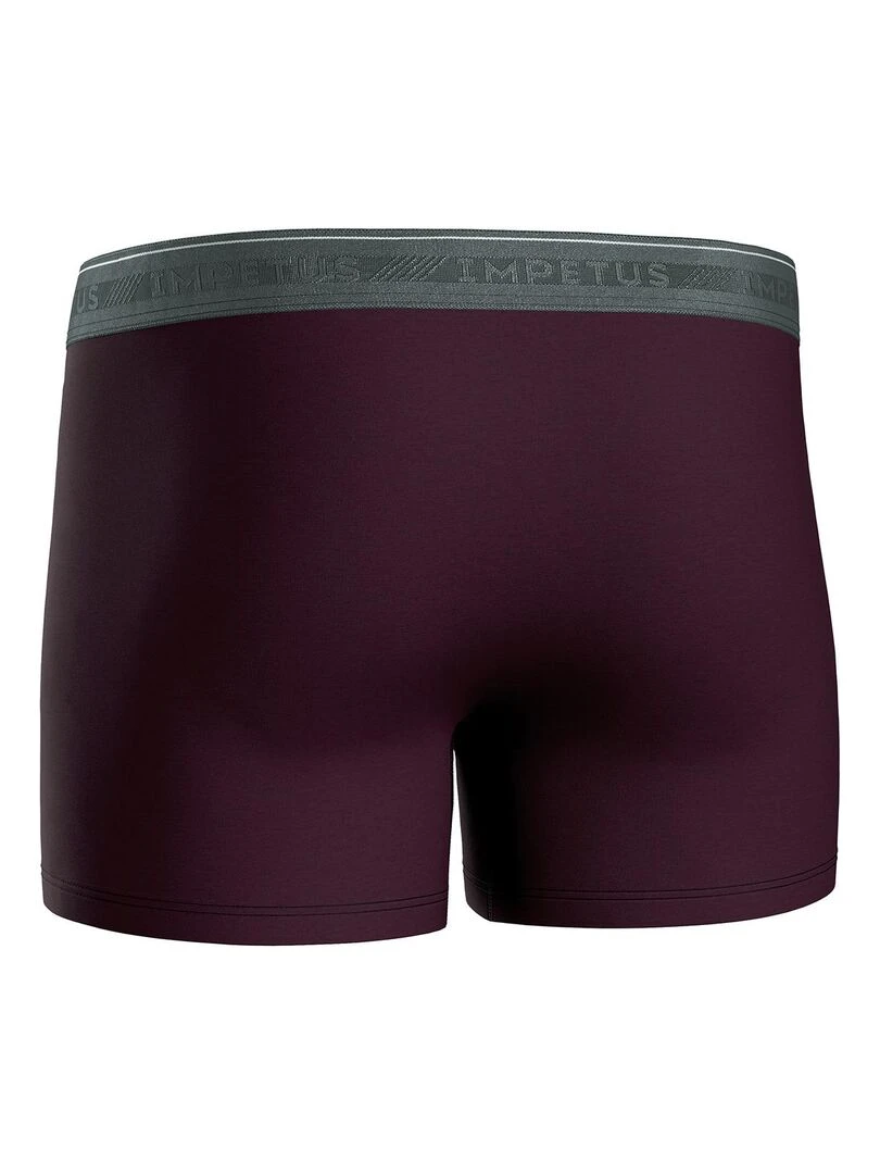 Pack de 3 boxers en coton bio   Gris