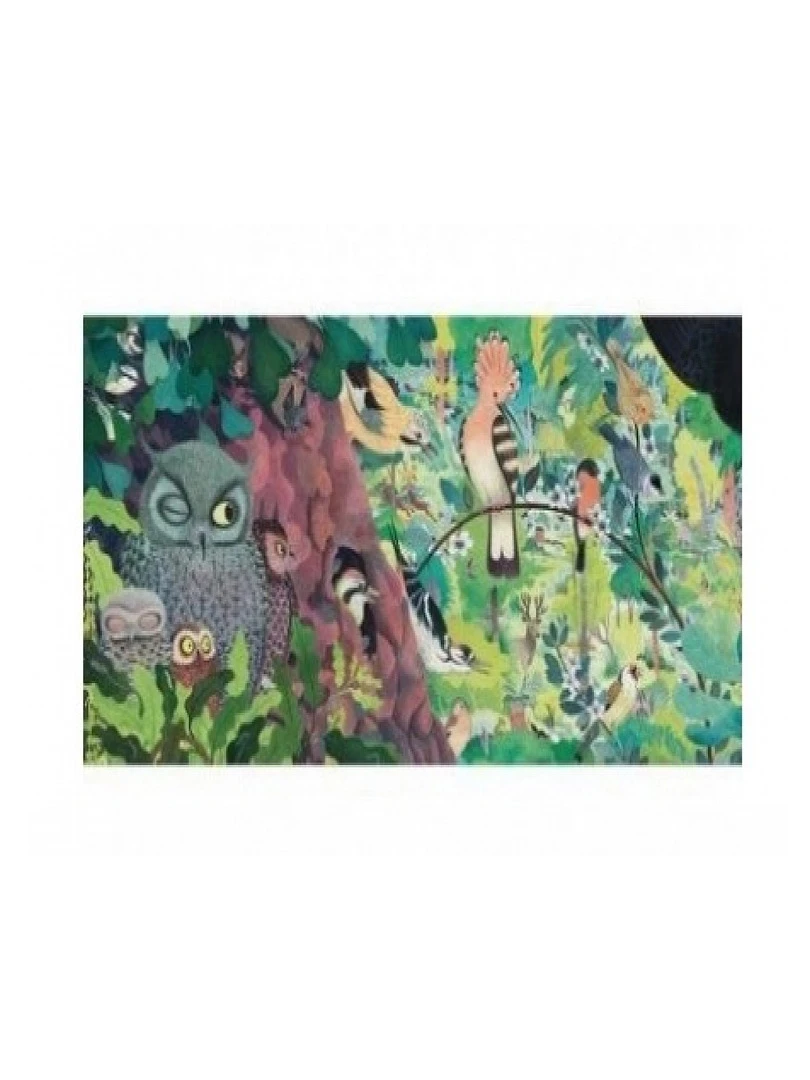 Puzzles Gallery Owls And Birds 1000 Pieces N/A