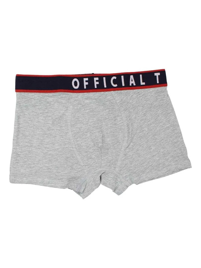 RG512 Sous vetement homme imprimé logo en coton Gris