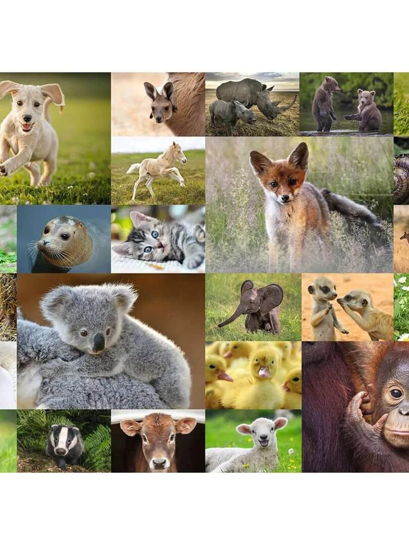 Puzzle 200 pièces XXL : Adorables bébés animaux N/A
