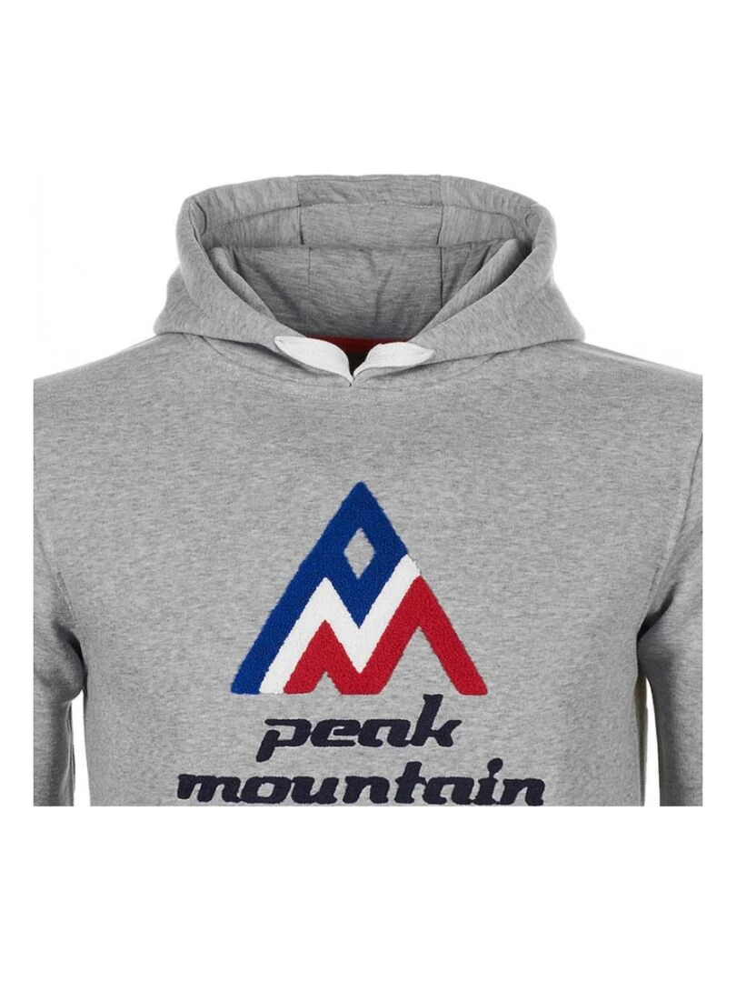 Sweat à capuche homme CODRIVER   PEAK MOUNTAIN   Gris
