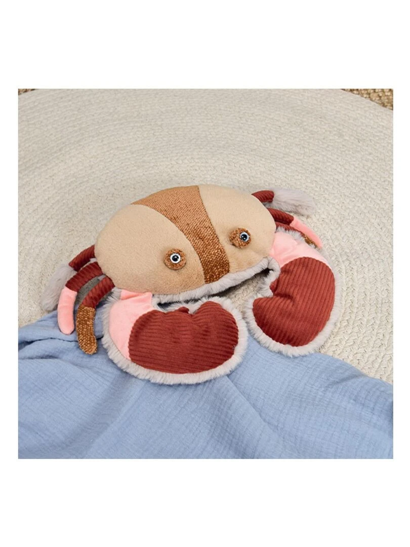 TRESORS MARINS   Crabe   Multicolore