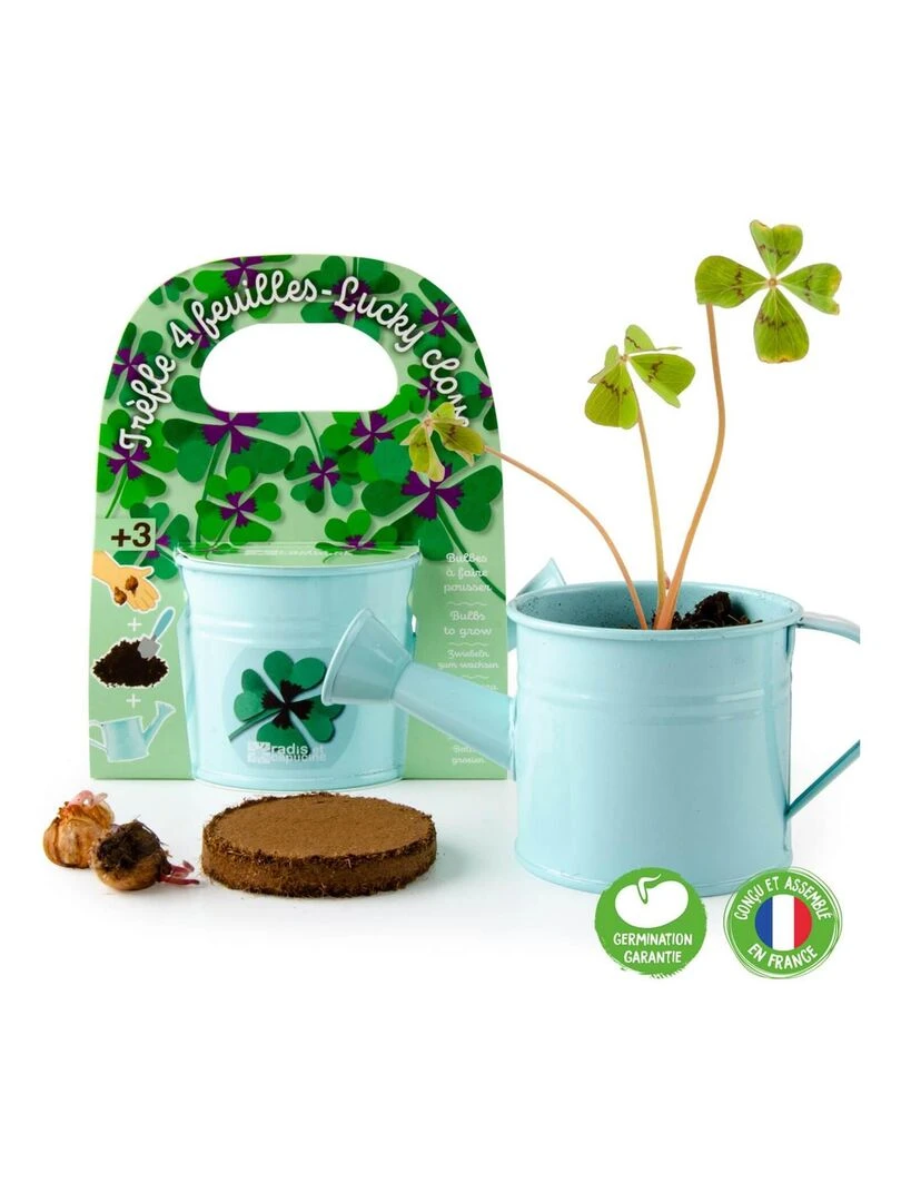 Kit de jardinage : Mini arrosoir bleu et ses graines de trèfle   N/A