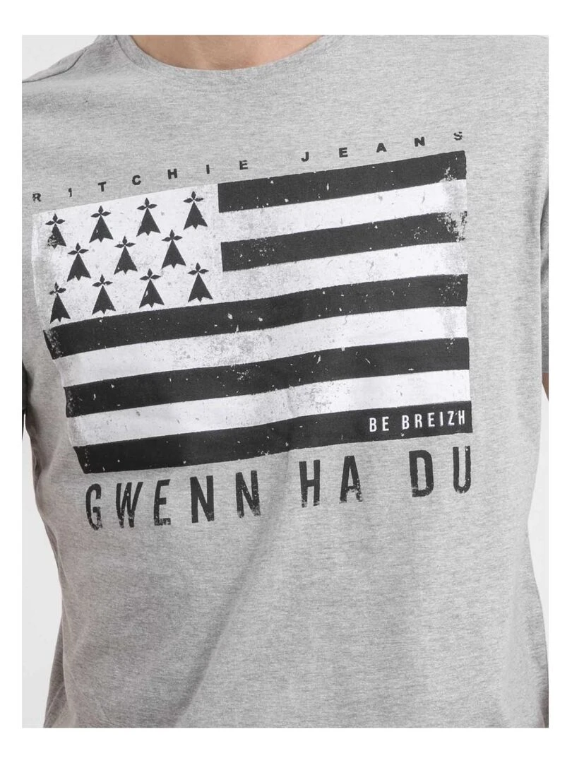 T shirt col rond pur coton NEVENOU   Gris