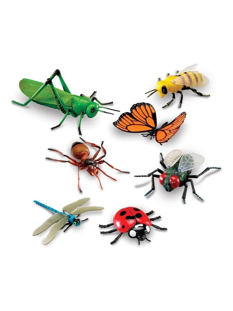 Insectes géants N/A