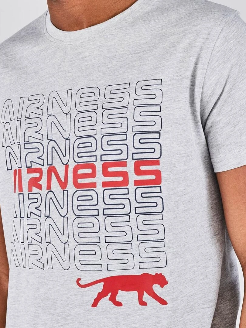 TEE SHIRT DJENNE Airness   Gris
