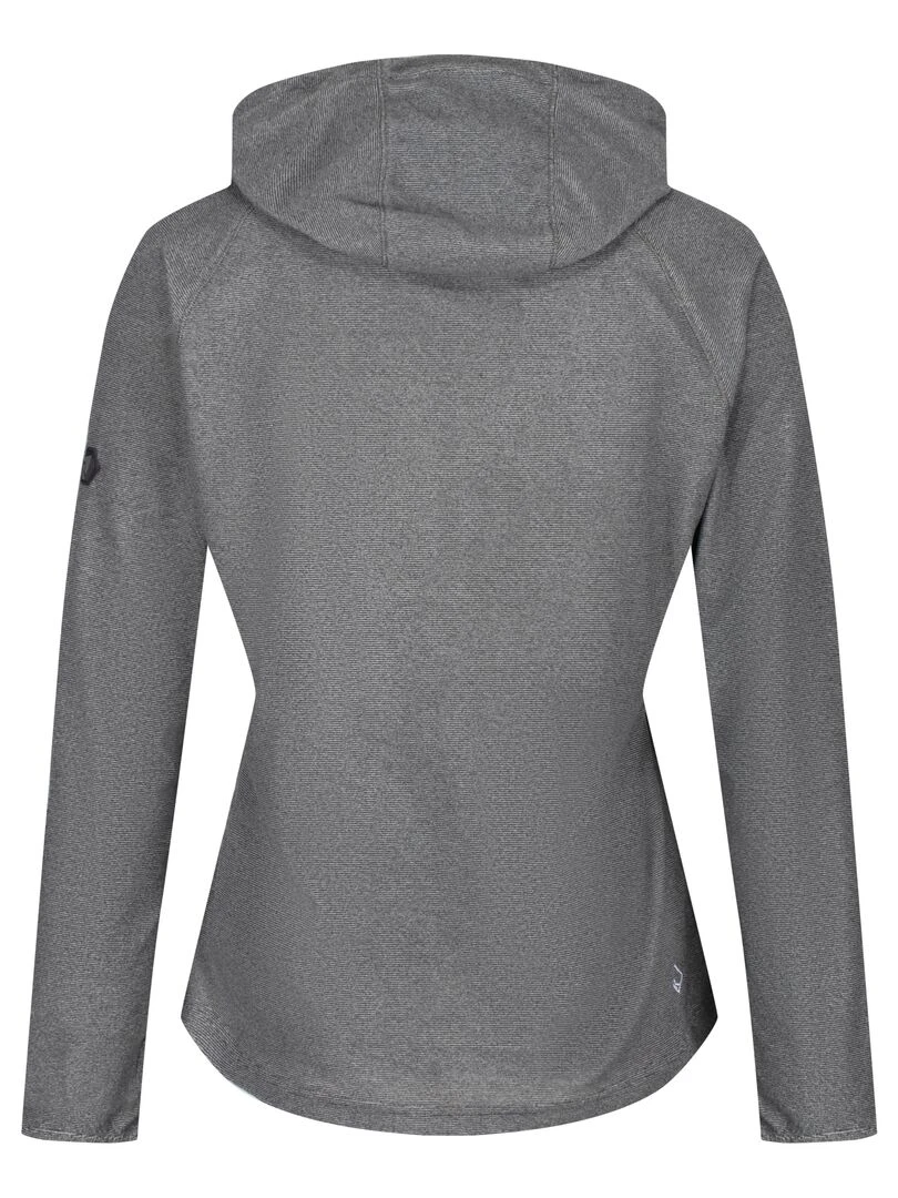 Regatta Sweat à capuche MONTES Gris foncé