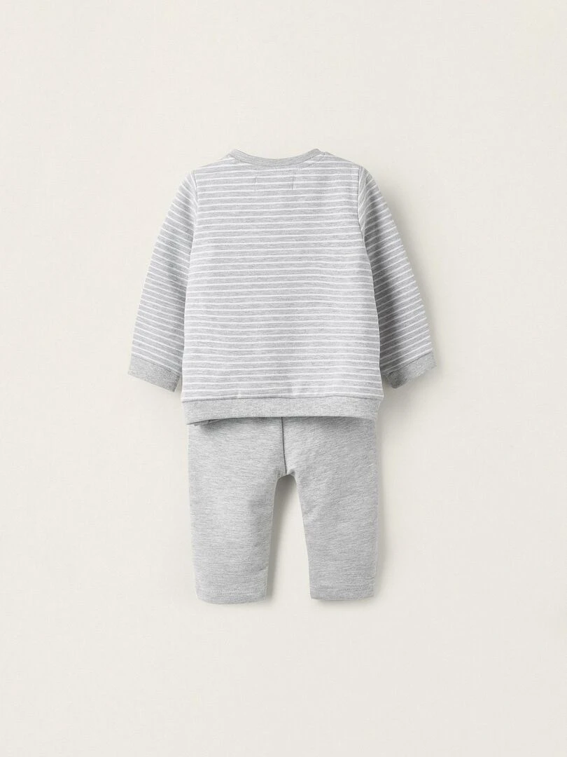 Manteau + Pantalon pour Nouveau Né 'Lapin'  EARLY BLOOM   Gris clair