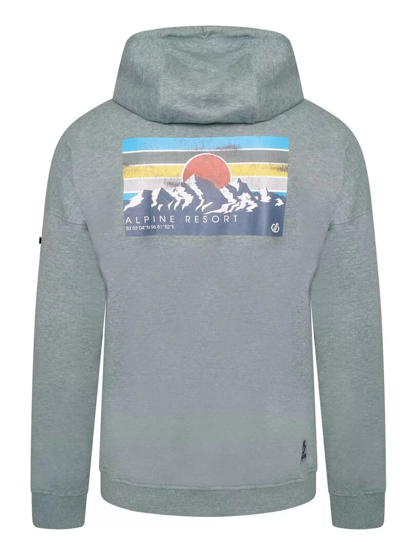 Dare 2B Sweat à capuche DISTINCTLY Gris Vert