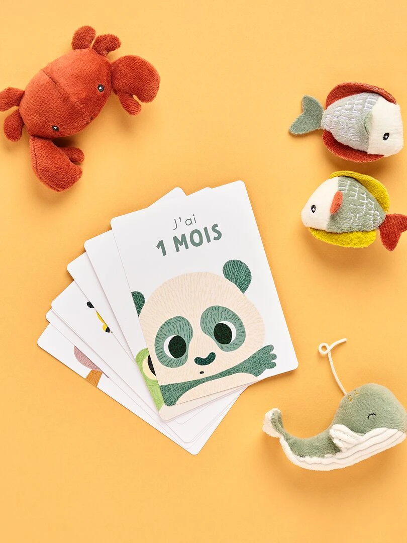 Cartes étapes 'Ma Première Année' Blanc