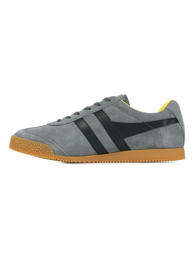 Baskets Gola Harrier Suede   Gris Noir