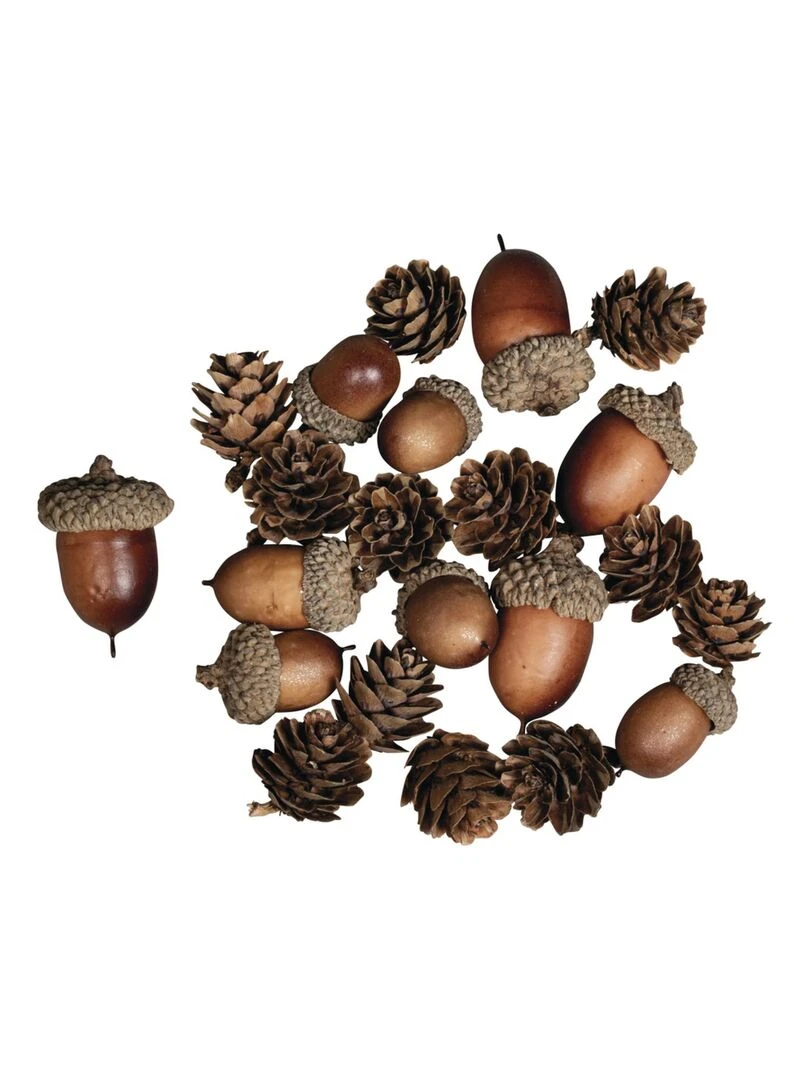 Décorations naturelles automne et Noël 27 Cônes et glands N/A