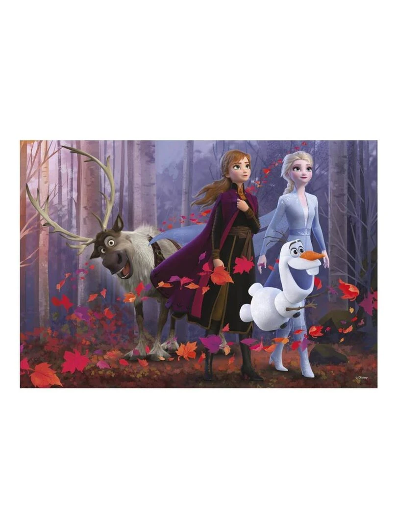 Puzzle 300 pièces XL : La Reine des Neiges 2 N/A