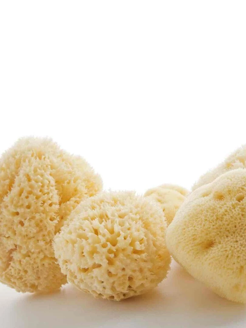 Éponge naturelle et écologique en soie fine   Beige