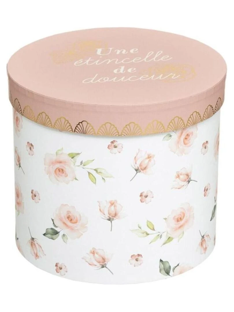 Lot de 3 boites rondes Princesse   Rose