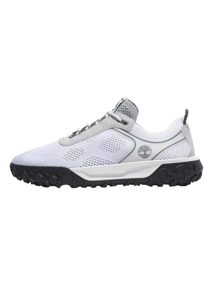 Basket à Lacets Timberland Field Trekker Blanc