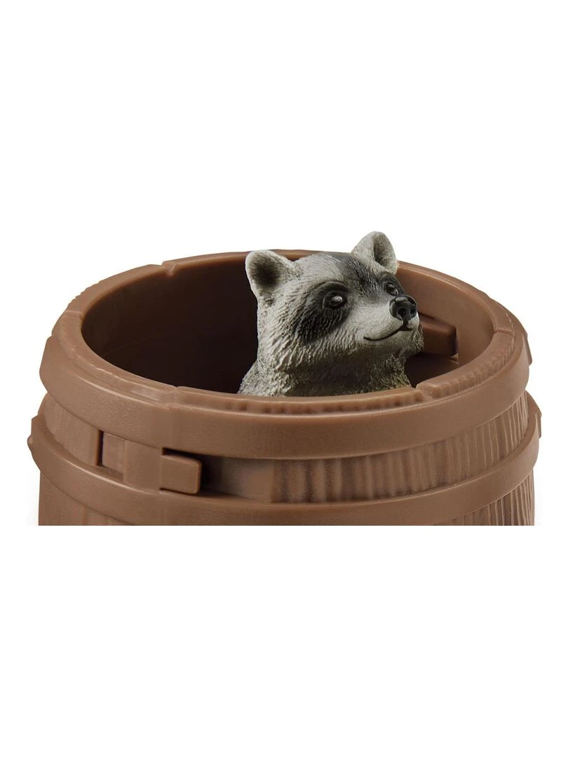 Jeux rigolos avec la noix   N/A