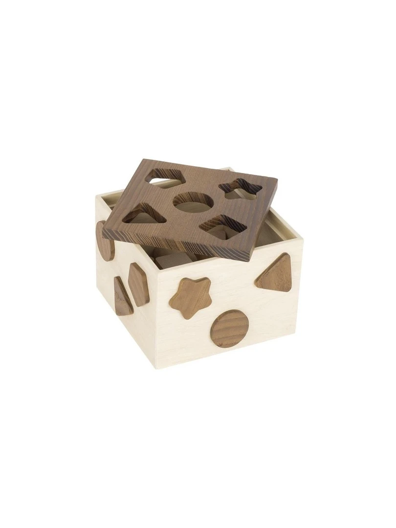 Boite 5 Formes Nature N/A