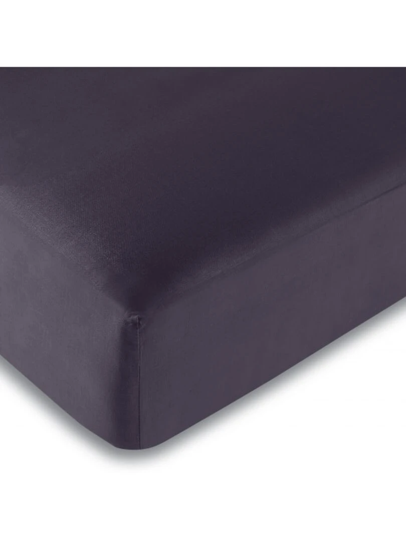 Univers Decor Drap Housse Prune 160 X 200 Cm / 100% Coton / 57 Fils/cm² Violet prune