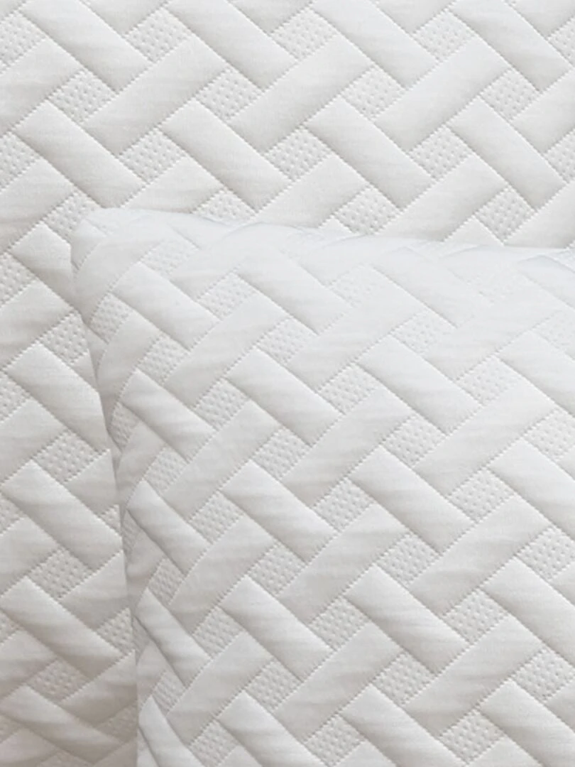 Lot de 2 oreillers blanc