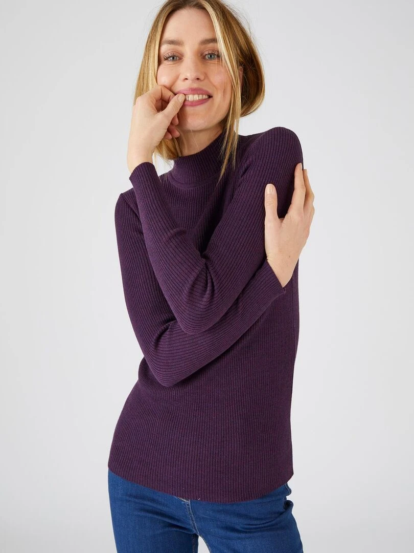 Pull col montant  50% laine mérinos  uni et rayé   Damart   Violet foncé