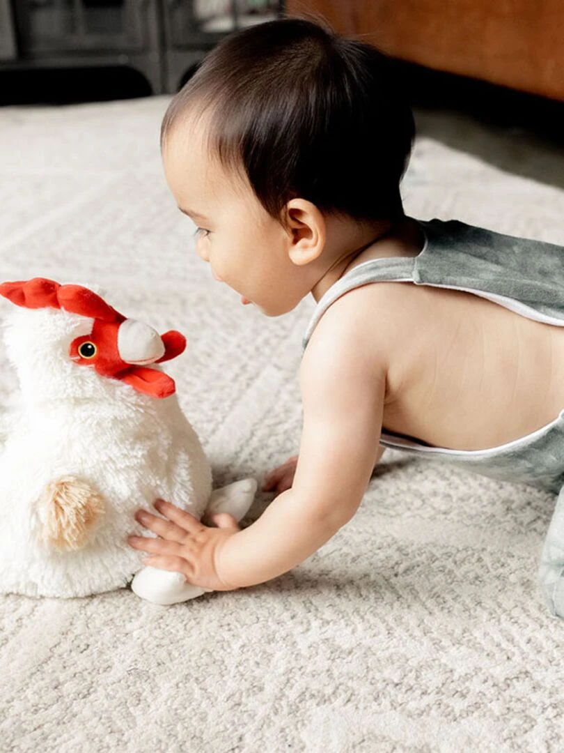 Bouillotte Peluche Poule COSY PLUSH   Multicolore