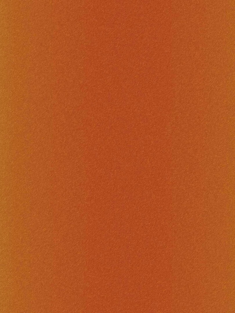 4 Feuilles de transfert   Léopard/Guépard   Cricut   N/A