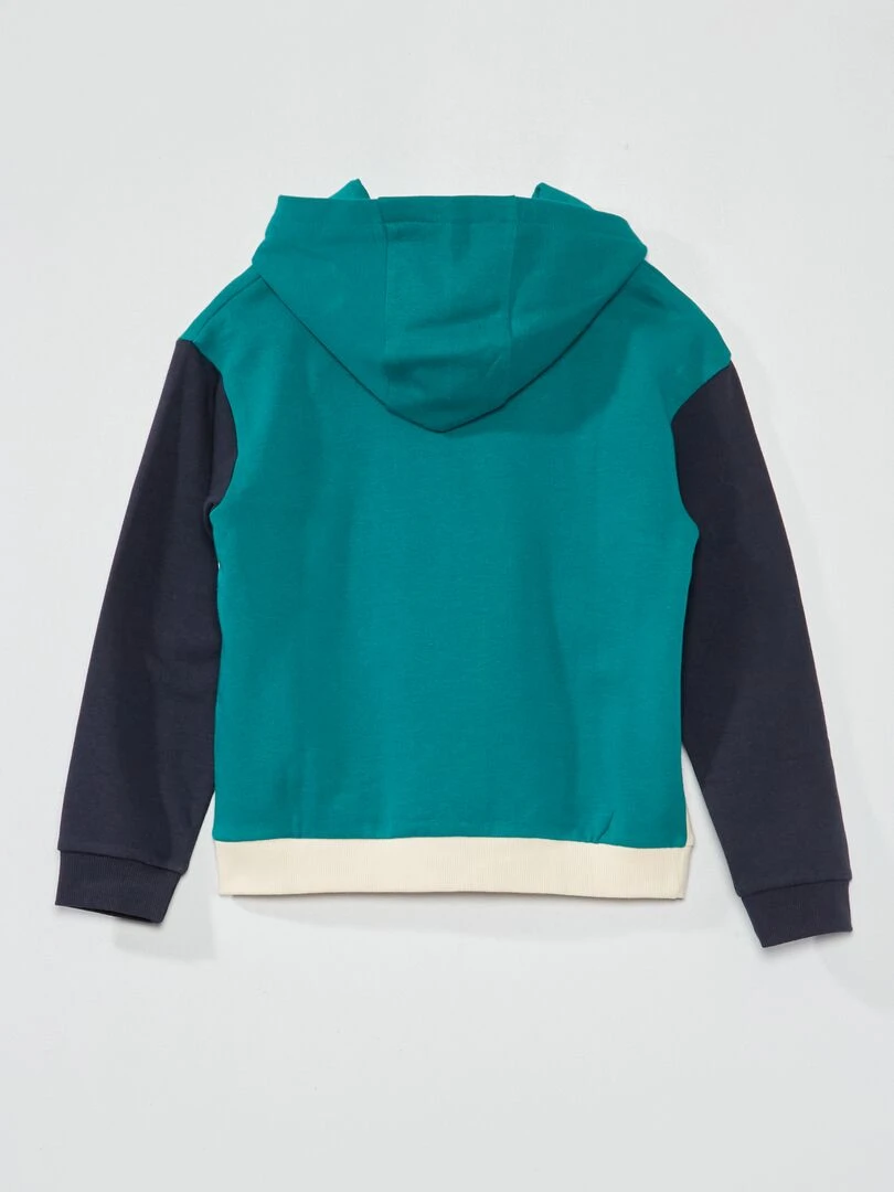 Sweat à capuche colorblock et message fantaisie Vert/blanc/marine
