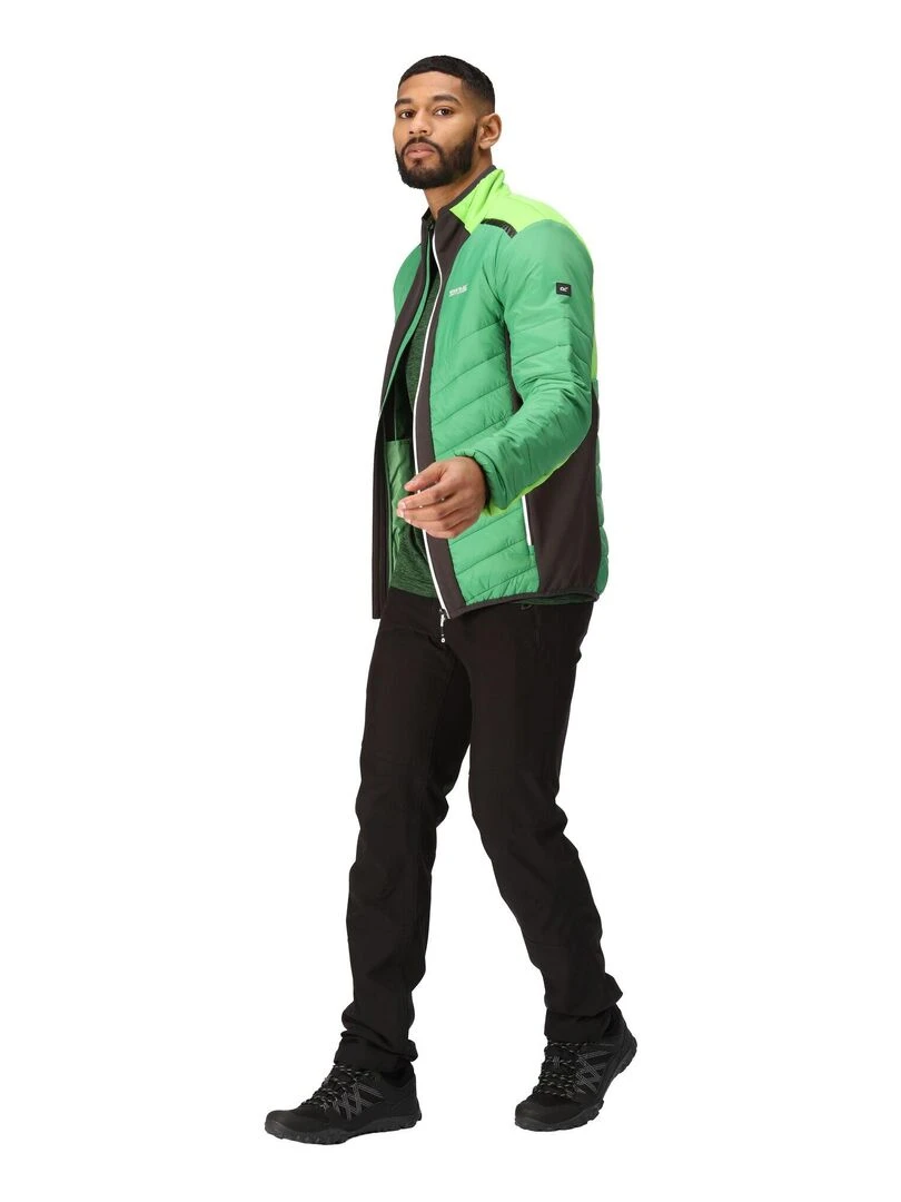 Regatta   Veste matelassée HALTON   Vert foncé