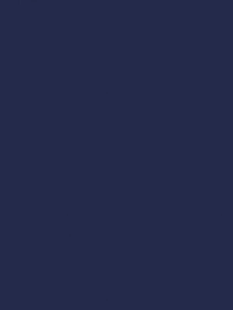 Peinture acrylique opaque mate Bleu marine 45 ml N/A