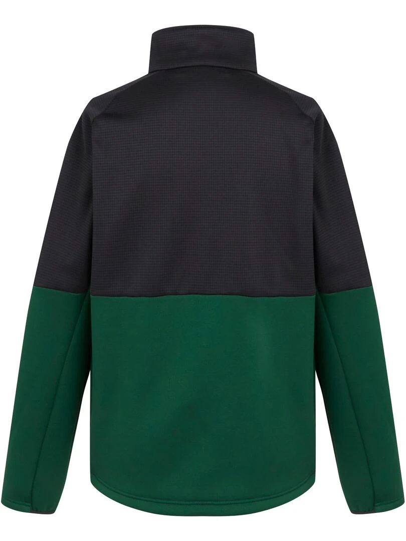 Regatta Veste polaire HIGHTON Vert