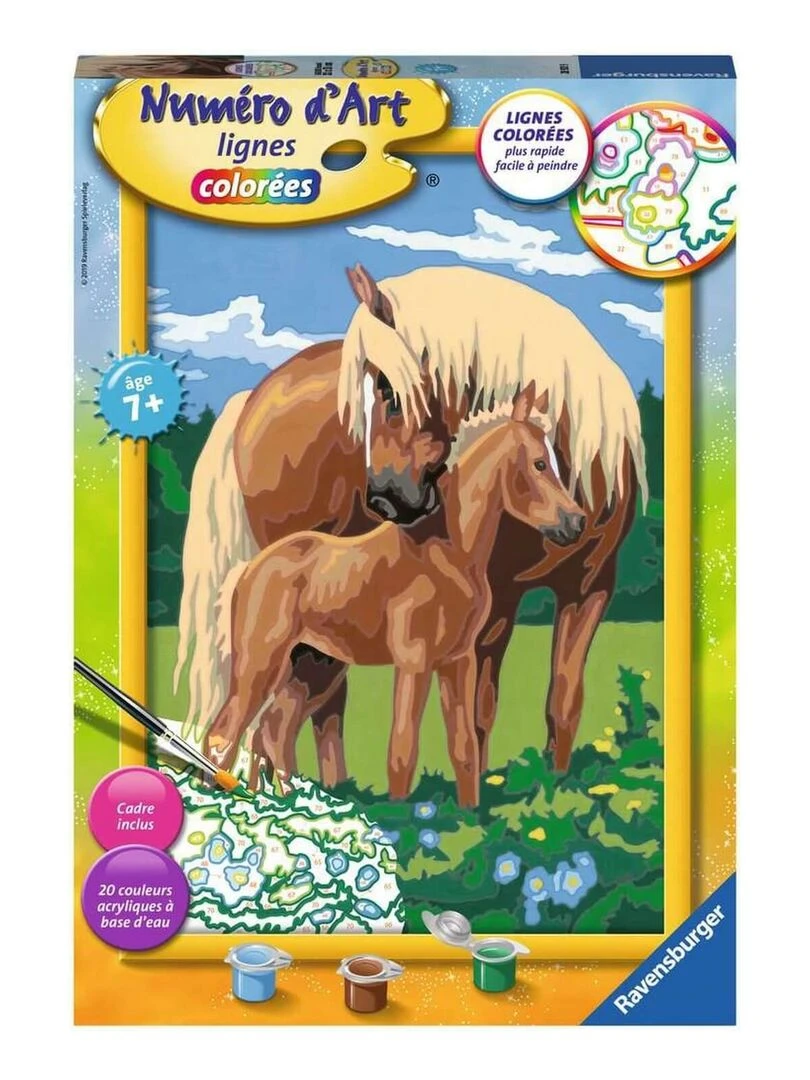 Numéro d'art Peinture au numéro : Grand Format : Fiers chevaux N/A